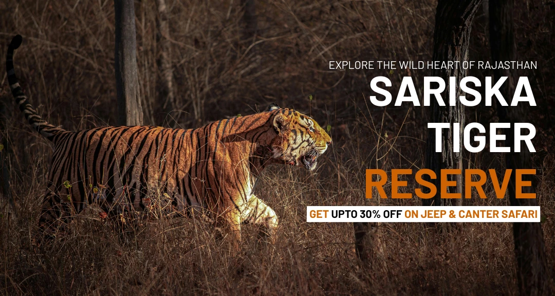 book sariska safari